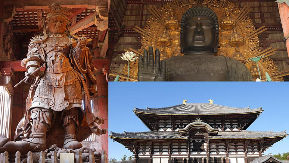 Welcome to Nara / ウゴモーション / モーショングラフィックス企画制作 紹介画像その4