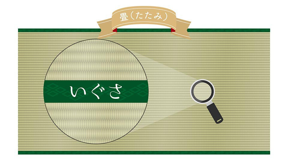 いぐさ野菜 プロモーション動画 01 / ウゴモーション / モーショングラフィックス企画制作 紹介画像その5